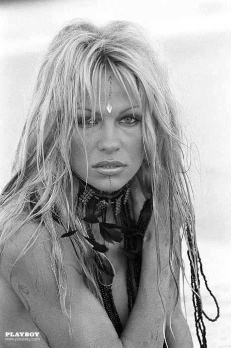 Pamela Anderson erotic model photo